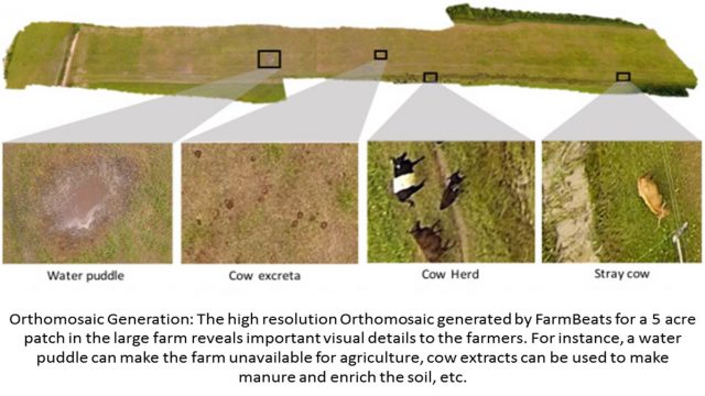 Orthomosaic