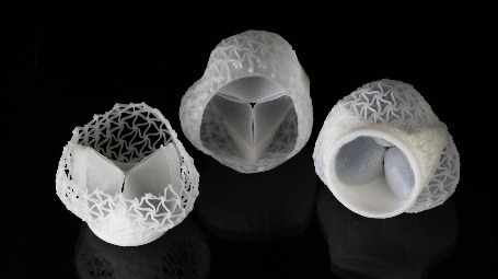 Complete heart valve replacement systems with covered stents and a windowed stent (shown left).