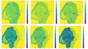 Spectral-Imaging Technique