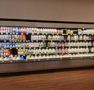 Robotic Autonomous Price-Changing System