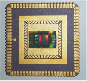 micledi-chip