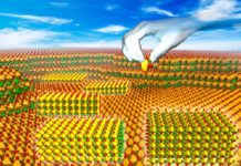 Perovskites