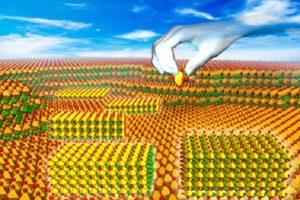 Perovskites