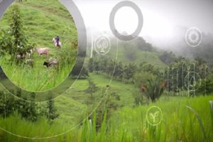smart-agriculture