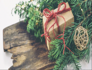 Holiday Gift Guide