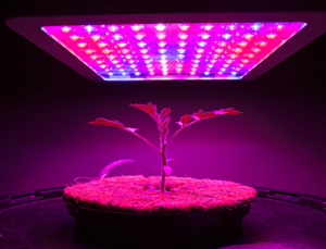 Horticulture Applications