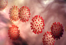 Coronavirus Outbreak