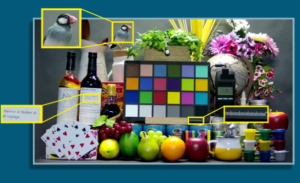 Novatek Microelectronics on Surveillance Camera Reference Design