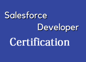 Salesforce Developer Certification Salesforce Developer Certification