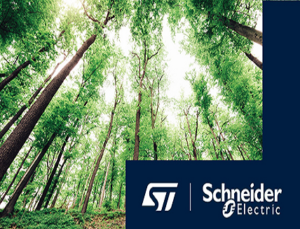 Carbon Neutrality