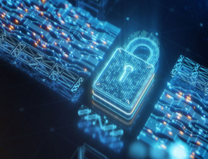 DesignWare IDE Security IP Modules DesignWare IDE Security IP Modules