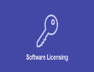 Software Licensing