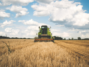 agriculture AgriFood-Tech
