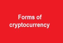 Forms of cryptocurrency