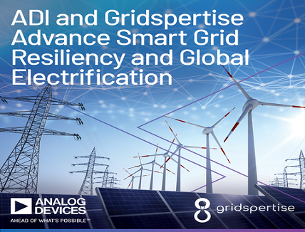Smart Grid Resiliency