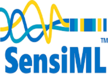 SensiML & Direct Insight to provide Technical Services for Edge AI Solutions Edge AI Solutions