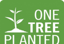 Infinite partners with One Tree Planted to increase Sustainability efforts One Tree Planted