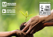 one tree planted