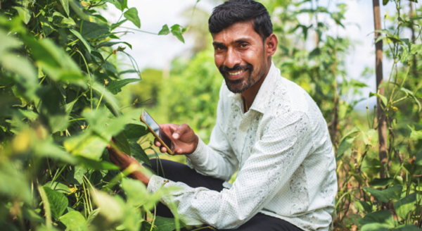 ICRISAT and Plantix Celebrate a Decade of Collaboration ICRISAT and Plantix Celebrate a Decade of Collaboration